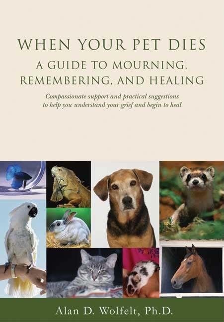 When your pet dies a guide to mourning remembering and. - Toyota hiace d4d motor service handbuch.
