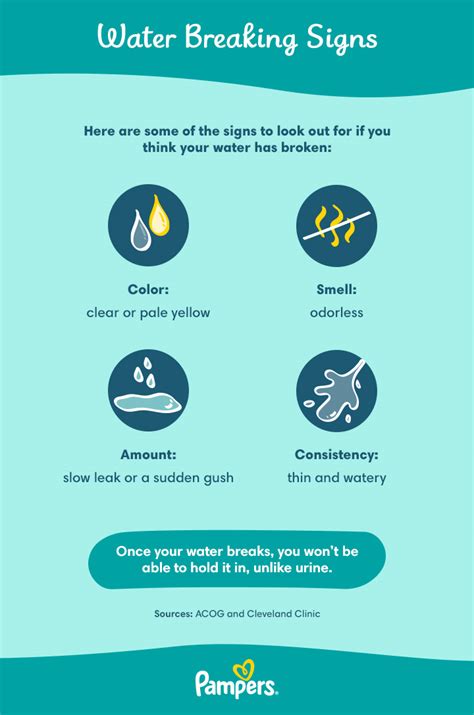 When your water breaks is it clear