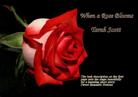 Full Download When A Rose Blooms By Tarah Scott