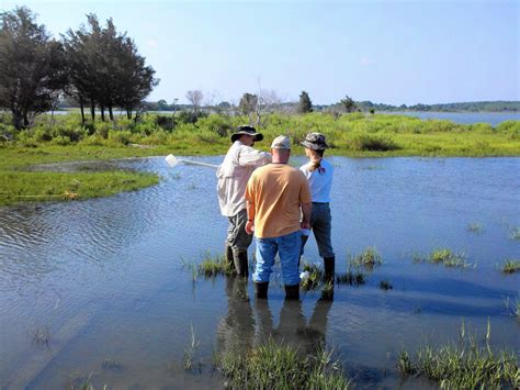 Where Can I Get Funding to Start a Wetland Project? - US EPA