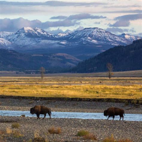 Where Do I Shower in Yellowstone and the Tetons - MOTERRA