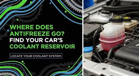 Where Does Antifreeze Go In Car