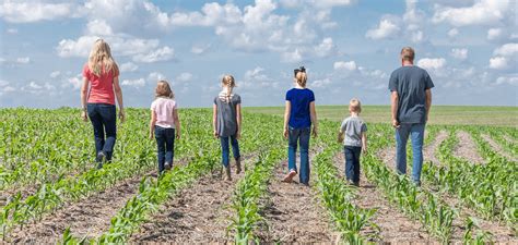 Where Is Corn Grown In Kansas? - PartyShopMaine