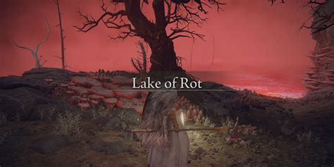 Where Is the Lake of Rot in Elden Ring How to Get There