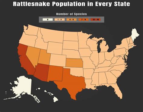 Where Rattlesnakes Live in the U.S (State-by-State Analysis)