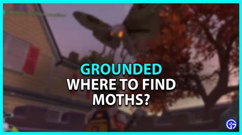 Where To Find Moths In Grounded - Gamer Tweak