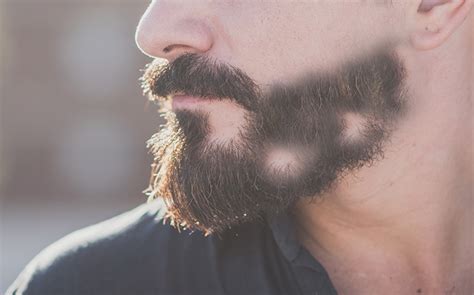 Where To Shave When Growing Beards - My Beard Gang