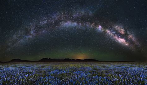Where are the best places to see stars in Texas? Top options in every region
