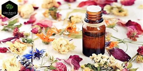 Where can i buy essential oils near me. Things To Know About Where can i buy essential oils near me. 