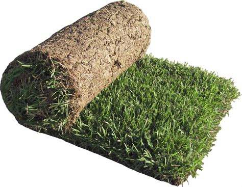 Where can i buy sod. Things To Know About Where can i buy sod. 