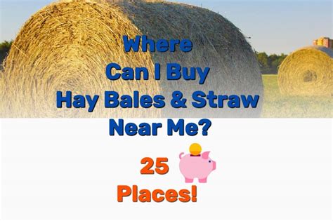Where can i buy straw near me. Standlee Certified Straw is all-natural and can be used for animal bedding, erosion control, decorating, and composting. Straw is not recommended for equine bedding as horses may consume it. Available in 3.6 cu ft bales (18cu ft. expanded). Certified noxious weed free - safe for national parks 
