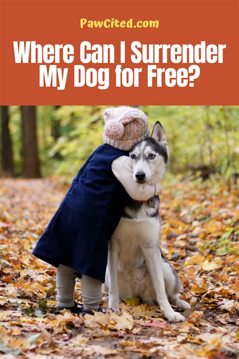 Where can i surrender my dog. ACC also has other options for pet owners who can no longer keep their pets but are reluctant to surrender them to a shelter. Our deferred intake program allows ... 