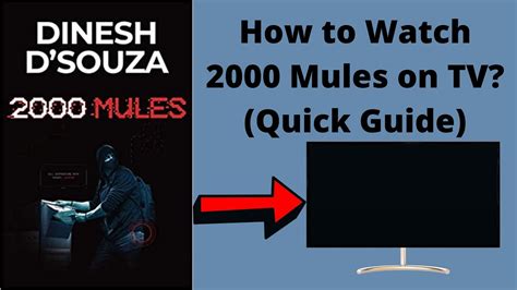 Where can i watch 2000 mules. May 5, 2022 · Here’s a closer look at the facts. CLAIM: At least 2,000 “mules” were paid to illegally collect ballots and deliver them to drop boxes in key swing states ahead of the 2020 presidential ... 
