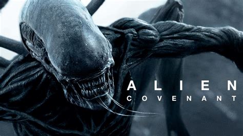 Where can i watch alien covenant. A little bit more exposition on the engineer backstory would have helped for newcomers for starters. Just watch Prometheus. It's a decent movie, and you only need to of seen Alien to get it. You'll be pretty lost if you go into Covenant without it. … 