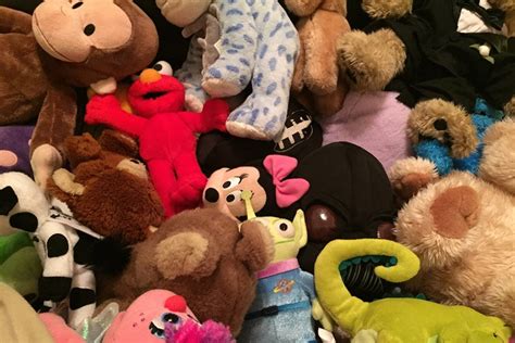 Where can you donate stuffed animals. Glad Dogs Nation. 4570 East Bristol Road, Unit D (Around Back) Trevose, PA 19053. 215.485.0400. Or. 2728 Arrowhead Drive. Langhorne, PA 19053. We accept gently loved kid stuffed animals as well as gently loved pet toys and supplies that we donate to shelters and rescues across the country. You can bring them to any of these drop off … 