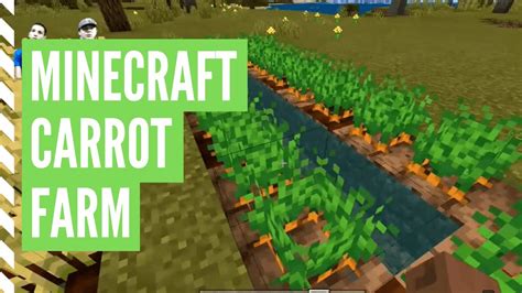 Where can you get carrots in minecraft