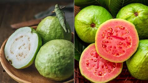 Where did guava originate. Guava (Psidium guajava L.) Guava is believed to have originated from an area extending from southern Mexico into or through Central America (Morton, 1987). The Spaniards and Portuguese are considered to be responsible for distribution of guava fruit to other parts of the world. 