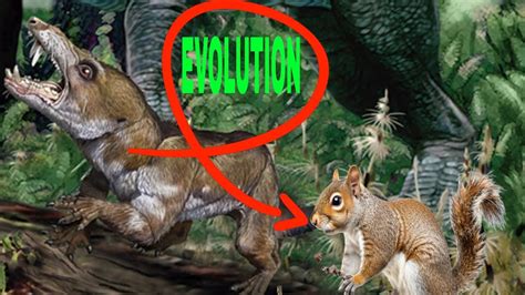 Where did squirrels evolve from.  The earliest known fossilized squirre...