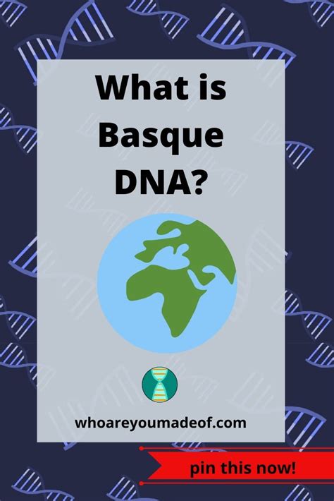 Where did the Basque DNA come from