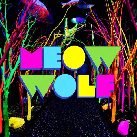 Where did the name Meow Wolf come from?