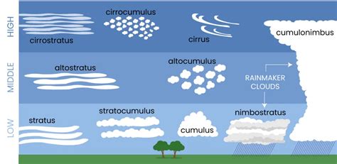 Where do shelf clouds form? - Answers