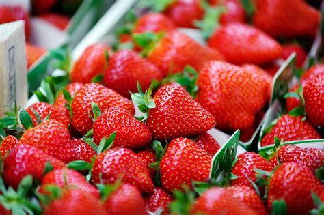 Strawberries are rich in vitamin C (great for skin and the immune system), Folate (needed for tissue growth and regeneration) and potassium (which benefits blood pressure). Because strawberries are over 90% water they are naturally low-carb. They are also low-fat and low in protein, and contain less sugar than oranges, apples and bananas.. 