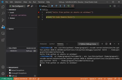 Where does gdb get installed to when using WSL in VS Code?