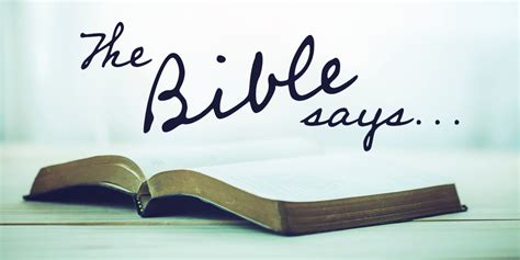 Where in the bible does it say. Things To Know About Where in the bible does it say. 