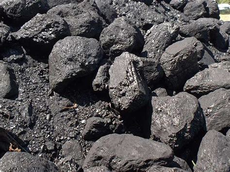 Bituminous Coal: Bituminous coal is typically a banded sedimentary rock. In this photo you can see bright and dull bands of coal material oriented horizontally across the specimen. The bright bands are well-preserved woody material, such as branches or stems. . 
