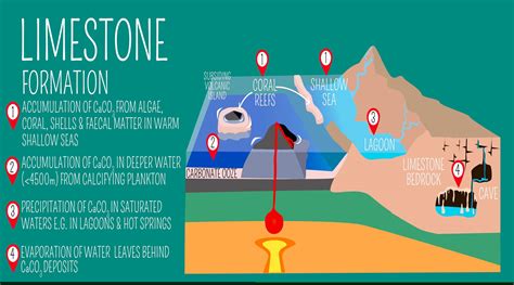 Where is limestone most found