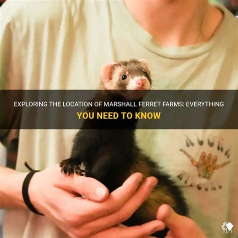 Where is marshall ferret farms located.  They offer a comprehensive range of item...