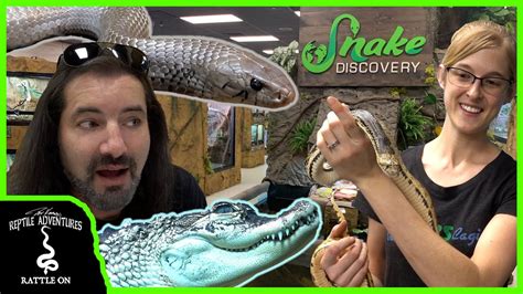 Where is snake discovery. When Clint from Clint's Reptiles came into town, what did we do? We filmed FOUR collab videos together! 😁 Two on his channel, two on ours! First, we were le... 