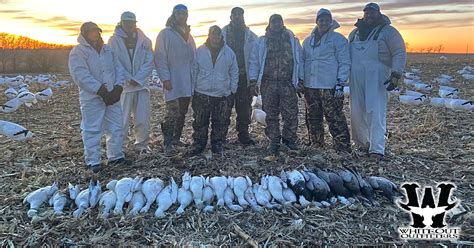 Where is the Best Places to Snow Goose Hunt - Whiteout Outfitters