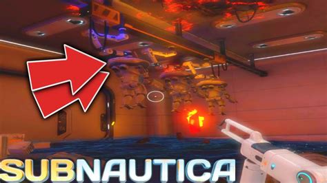As soon as you crash land on Subnautica’s ocean world, the space-faring vessel Aurora burns and sinks, leaving only parts of it visible above the ocean surface. ... Robotics Bay. A curious case .... 