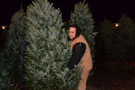 Where to Buy Fresh Christmas Trees Plymouth, MA Patch