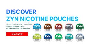 Where to Buy Zyn in Bulk: A Guide for Distributors and Retailers