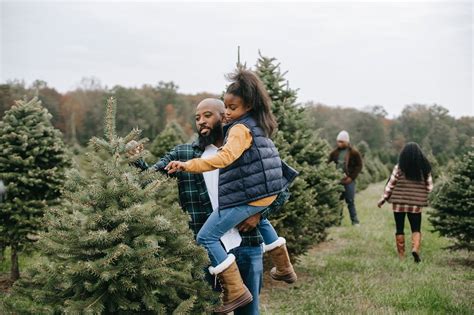 Where to Cut Your Own Christmas Tree in Delaware - MetroKids