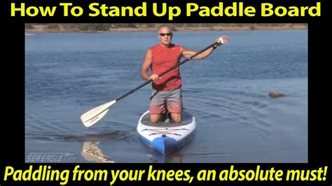 Where to Play Paddles Up