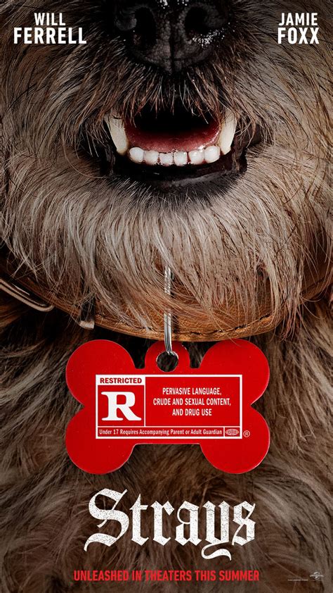 Where to Stream 'Strays' (2026)