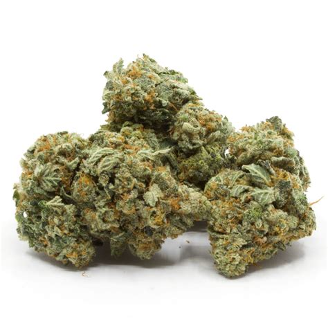 Where to buy Buy Casey Jones Kush Online Archives - 420 Cali …