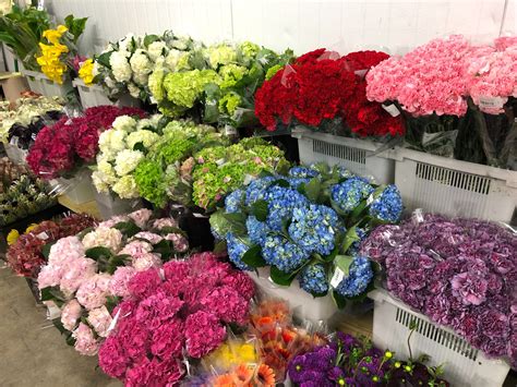 Where to buy cheap flowers. Oct 15, 2023 · Photograph: Wee Lee Nursery. 6. Wee Lee Nursery. Shopping. Florists. Sengkang. There’s a reason why orchids are our national flower – they thrive in Singapore’s heat. Wee Lee Nursery ... 