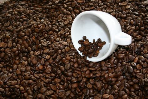 Where to buy coffee beans. Are you tired of searching for the perfect baked bean recipe? Look no further. In this article, we will share with you the best homemade baked bean recipe that will satisfy your cr... 