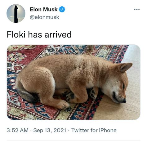 The Floki Inu altcoin also written as Floki is inspired by the Floki-named pet dog of Elon Musk himself. Musk’s dog is from the Shiba Inu breed. According to the website of this crypto asset, this token was created by the supporters of the Shiba Inu coin earlier this year. Depicted by a mustard .... 