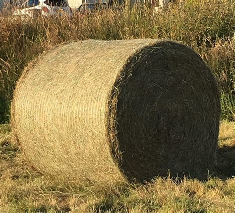 Where to buy hay bales. According to Oregon State University Extension Service, an acre may yield between 65 to 165 small bales of hay per cutting, with up to three cuttings per year. The yield depends on... 