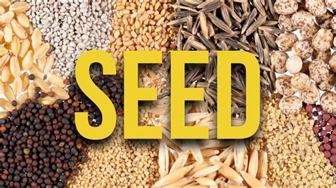 Where to buy seeds. Whether you’re looking for flowers or vegetables, heirloom seeds, organic seeds, wildflower seeds for your xeriscape, or hardy fruit trees, you’re guaranteed to find something in this list. This list is tailored for the Canadian Prairies, and the advice is from a gardener’s perspective in USDA Hardiness Zone 2/3. 