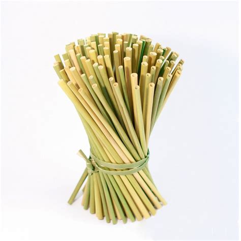 Where to buy straw. Choose items to buy together. Similar items that may deliver to you quickly. Page 1 of 1 Start over Page 1 of 1 . Previous page. Comfy Package, [100 Count] Jumbo Paper Smoothie Straws, 100% Biodegradable, Assorted Colors. 