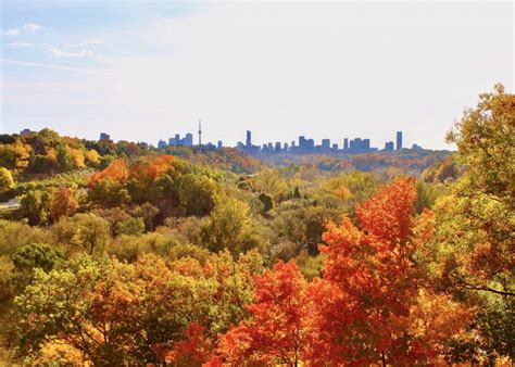 Where to enjoy fall colours and activities in the GTA, across Ontario