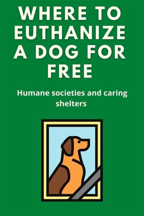 Where to euthanize a dog for free. Things To Know About Where to euthanize a dog for free. 