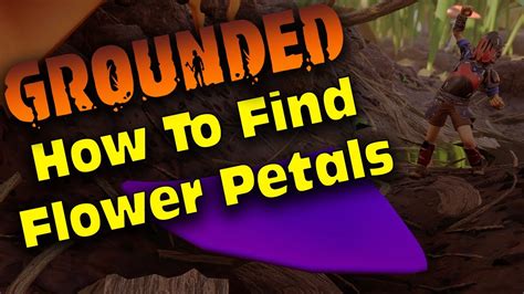 Where to find Flower Petals in Grounded …