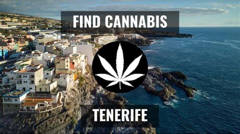 Where to find cannabis in Tenerife, how to access a Social